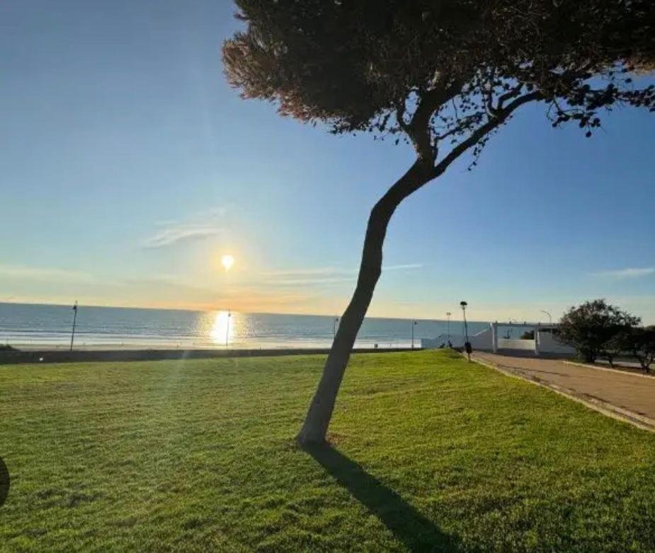 Apartamento La Fontanilla Conil De La Frontera Dış mekan fotoğraf